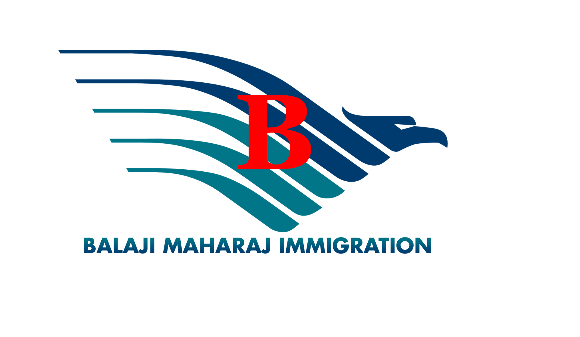 Balaji Maharaj Immigration